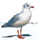 Zinnowitzer Appartmenthaus